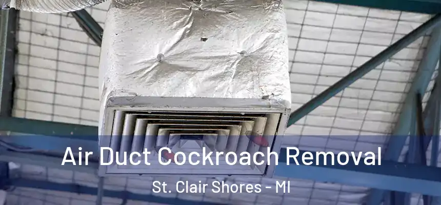 Air Duct Cockroach Removal St. Clair Shores - MI