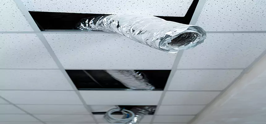 Our Air Duct Pet Hair Removal Services in St. Clair Shores, MI