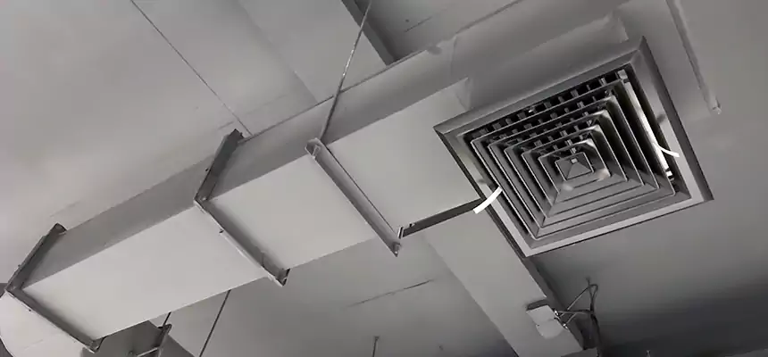 Our Pest Removal From Ducts Services in St. Clair Shores, MI