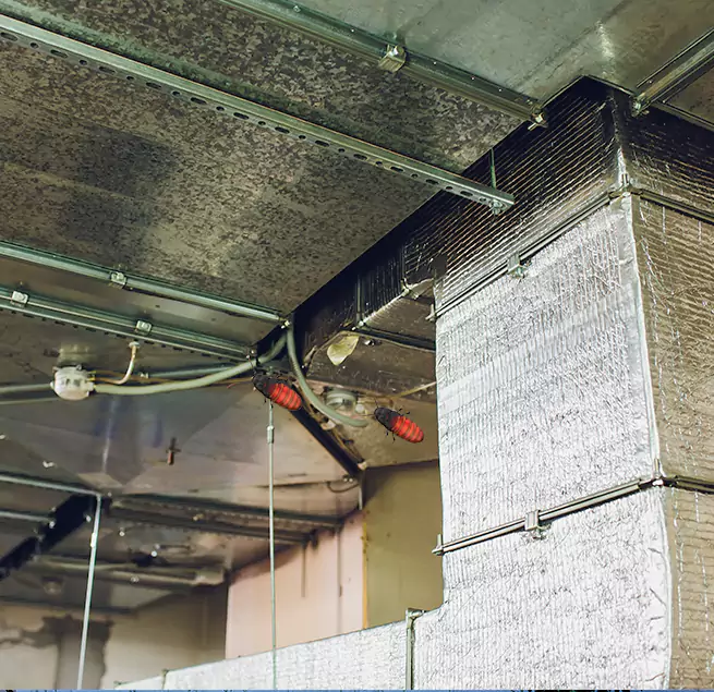 Why Homeowners & Businesses Trust Us in St. Clair Shores, MI?