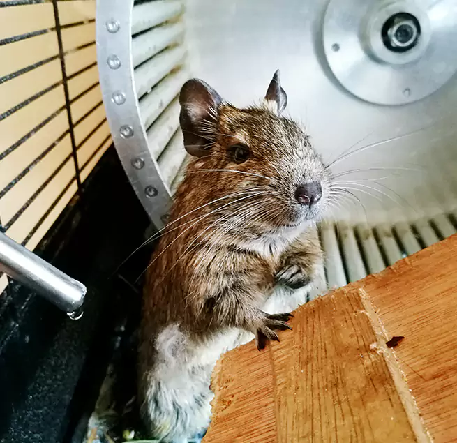 Why Homeowners & Businesses Trust Us St. Clair Shores, MI?