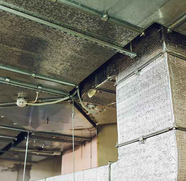 Why Homeowners & Businesses Trust Us in St. Clair Shores, MI?